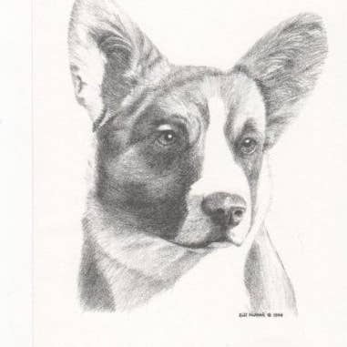 Cardigan Welsh Corgi Hund Bill Harrah Portræt Indrammet Kunst for engroshandel hos Chesapeake Farms LLC