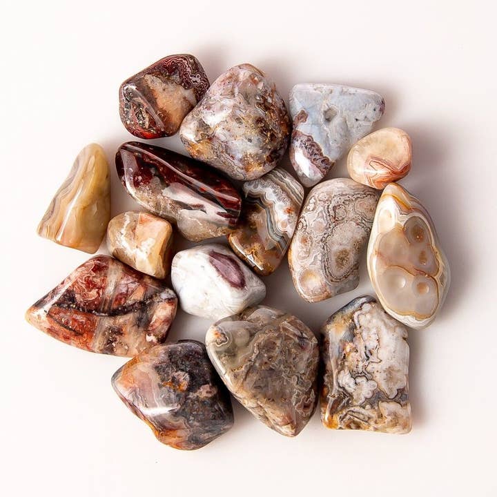 NEW! Small Mexican Crazy Lace Agate for wholesale by Tree of Life Gems