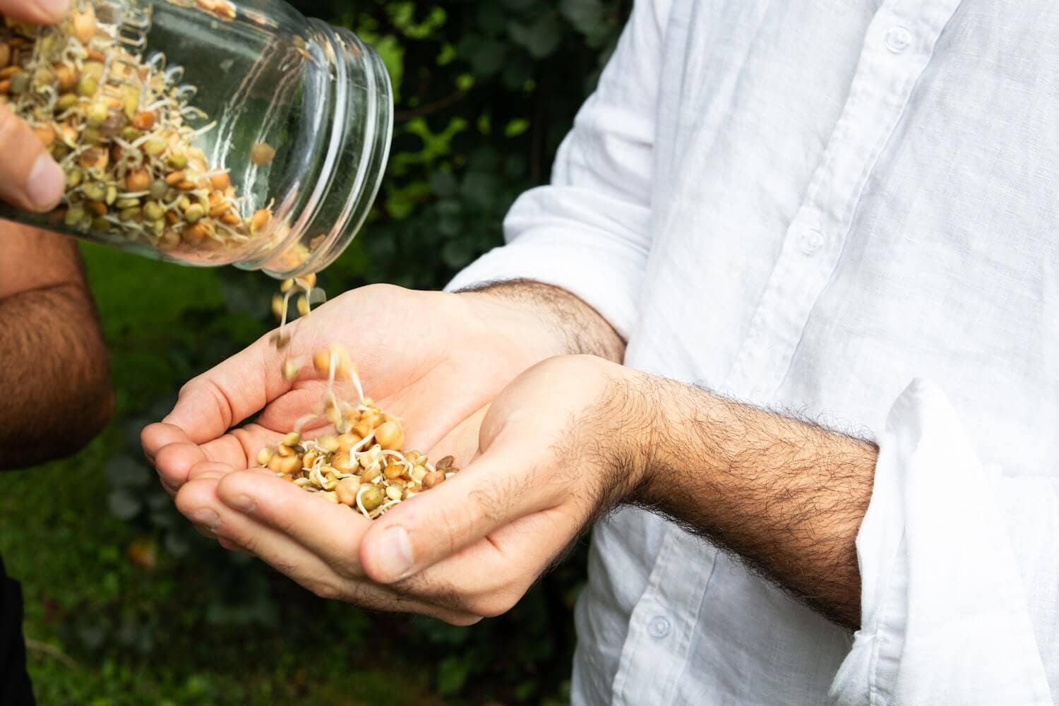 Sproutman - Wholesale Plant Seeds - Single Jar Sprouting Starter Kit3