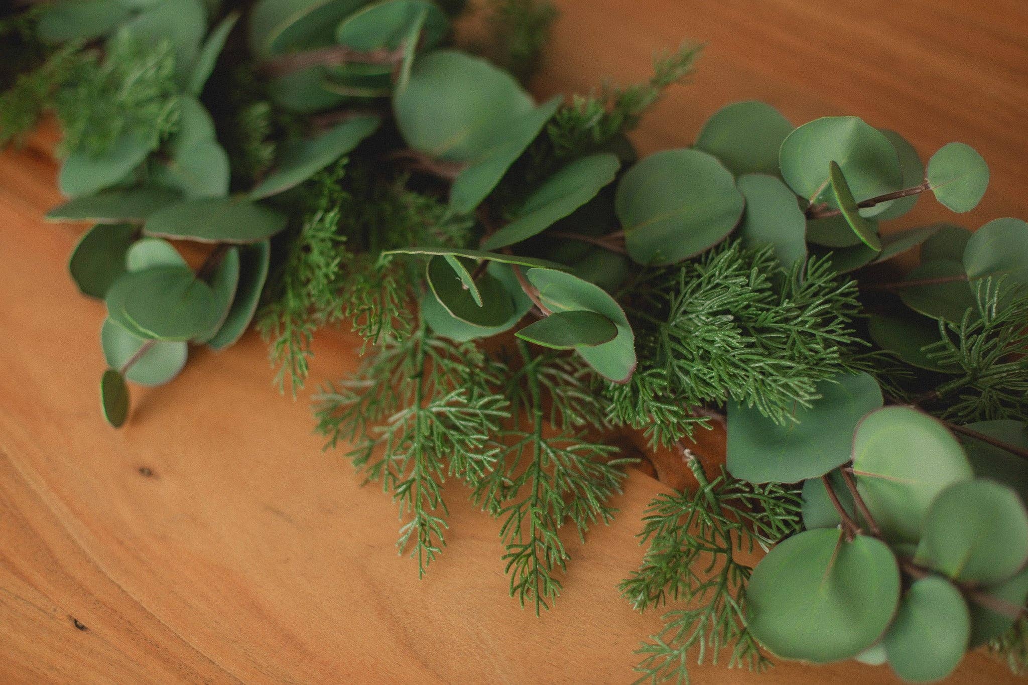 Eucalypt Co. - Wholesale Bunting/Garland - Cypress Pine Garland5