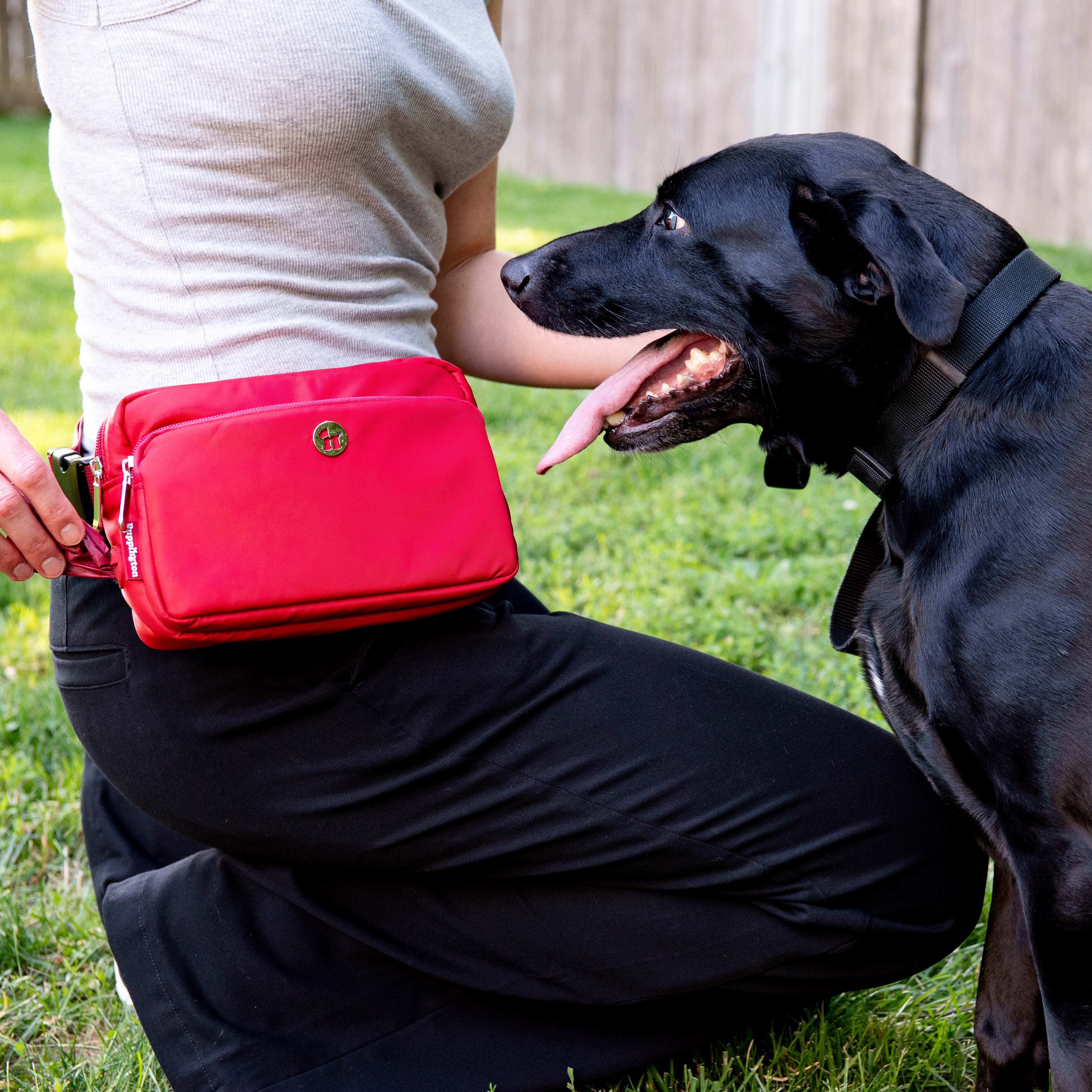 Puppington – Großhandel Bauchtasche – Damen – Puppington 3-in-1 Hundegürtel- und Umhängetasche – Oprah's Favorite Things18