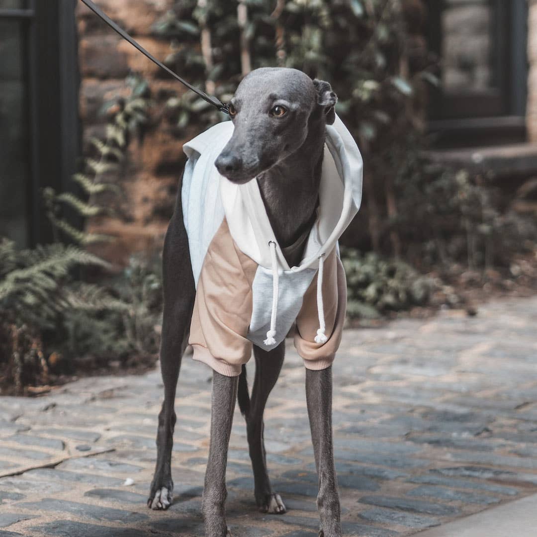 The Barkside MCR – wholesale Pet hoodie – Dog – Tri Colour Hoodie Neutral5