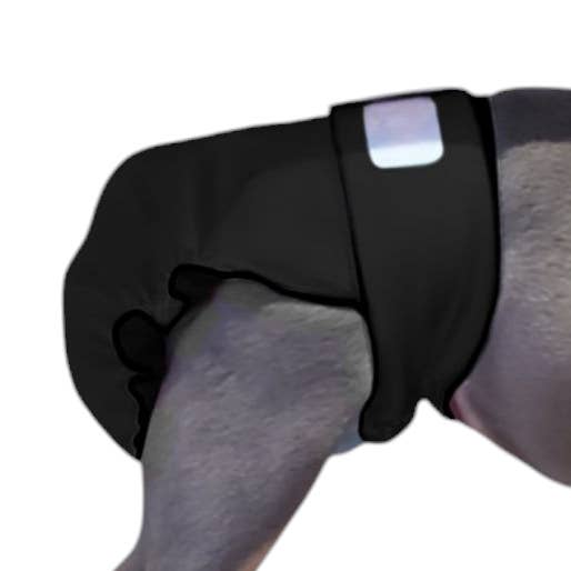 Vrouwelijke Hondenluierbroek | Geen Staartopening | Zwart voor wholesale door Jack & Jill Dog Diapers