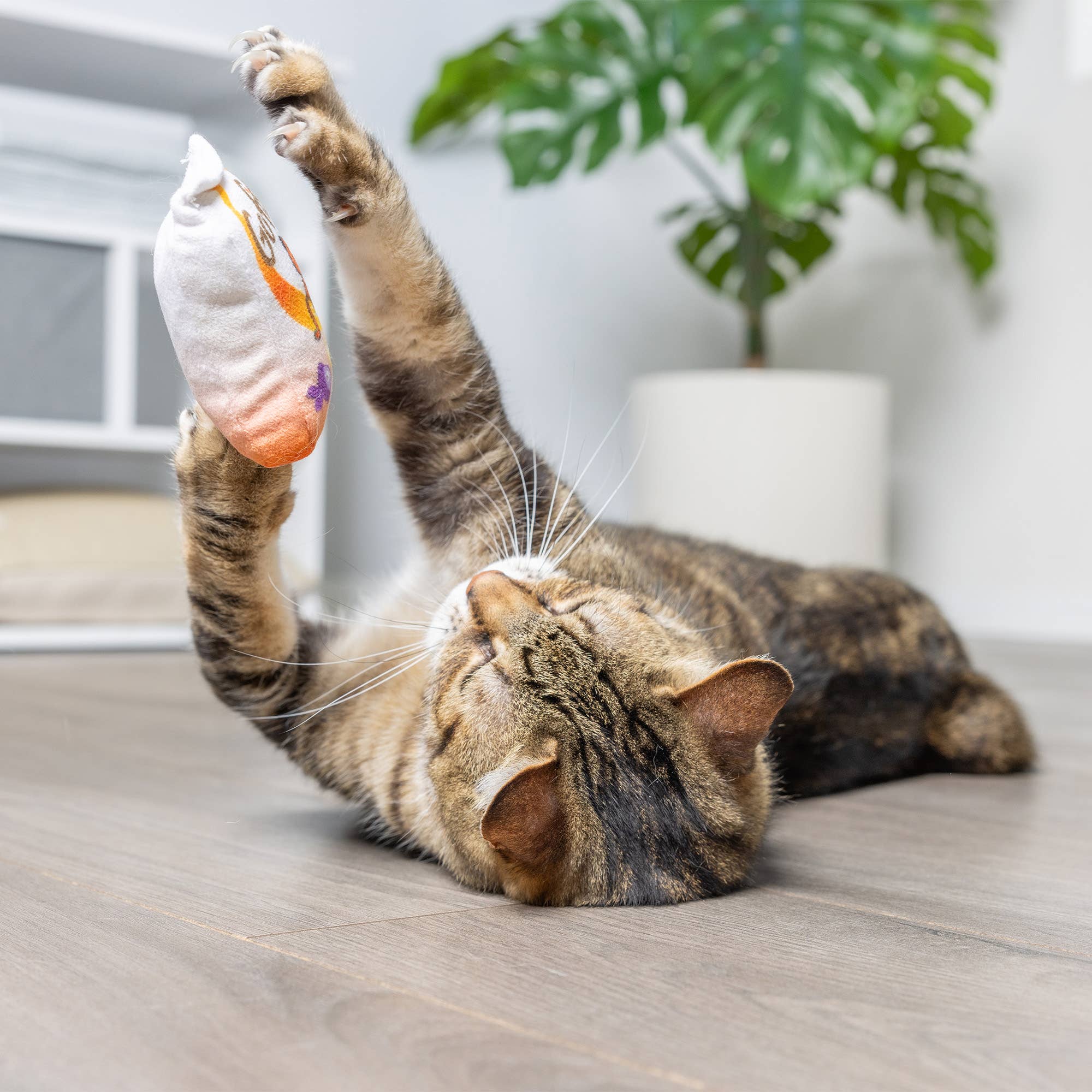 Huxley & Kent - Vendita all'ingrosso Giocattolo - Gatti - Giocattolo per Gatti Go Fish Phishy6