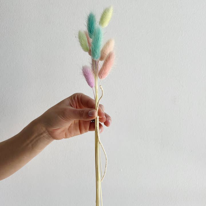 House of Lilac – wholesale Dried/pressed flowers – Dried Flower Bunny Tail Bundles8