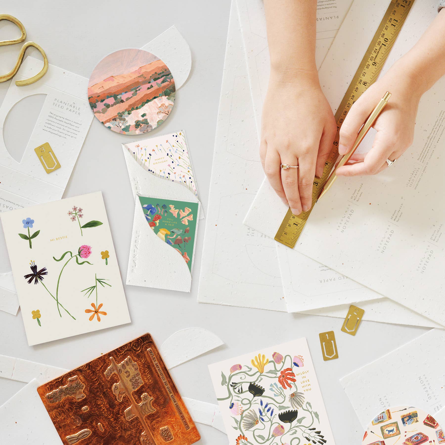 Seedlings - Wholesale Friendship Card - Shrooms Sprout - Friendship Mini Greeting Card (2.5" x 3.5")5