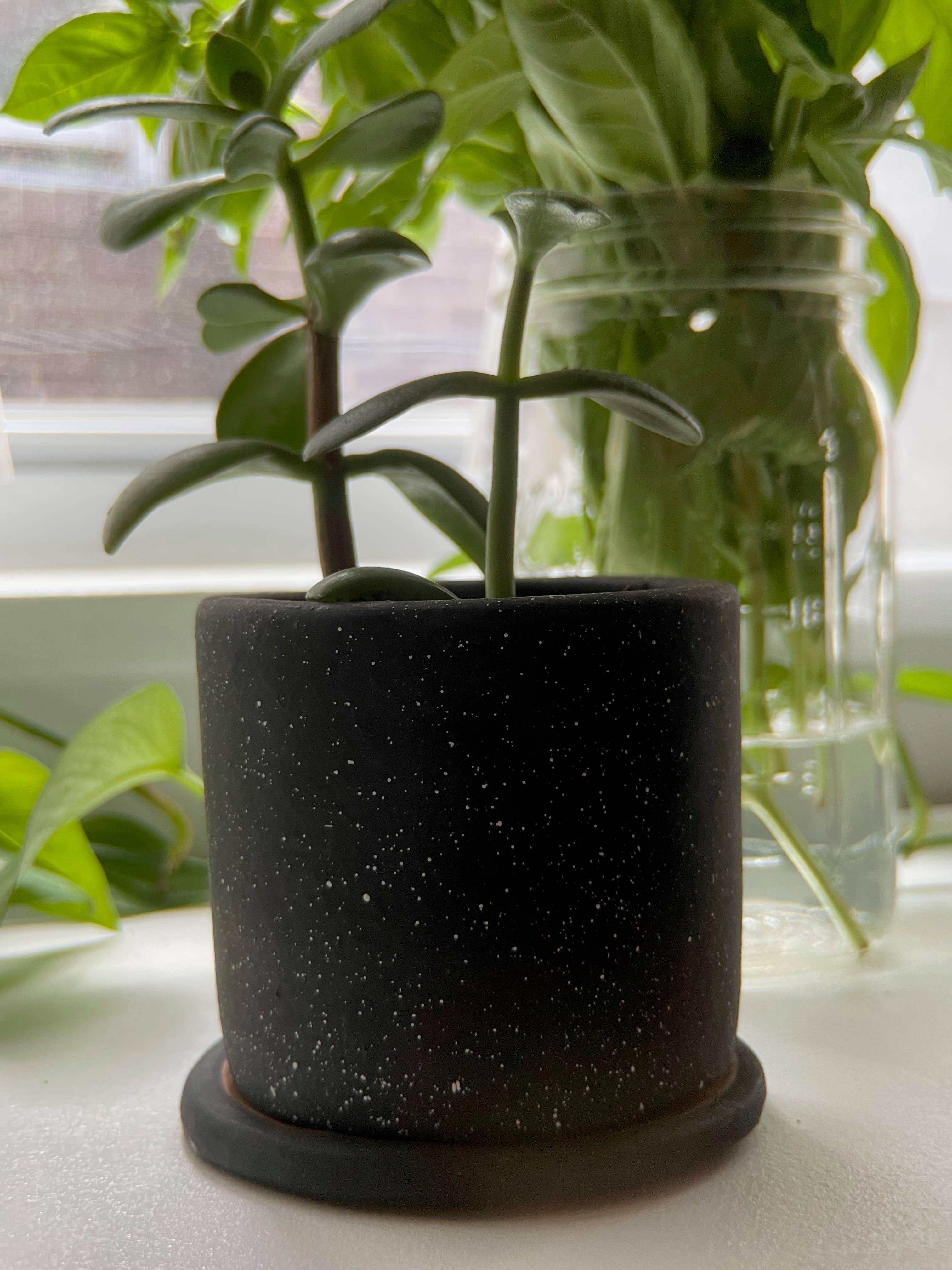 Women of the Cloud Forest - Wholesale Plant Pot - Small Ceramic Planter4