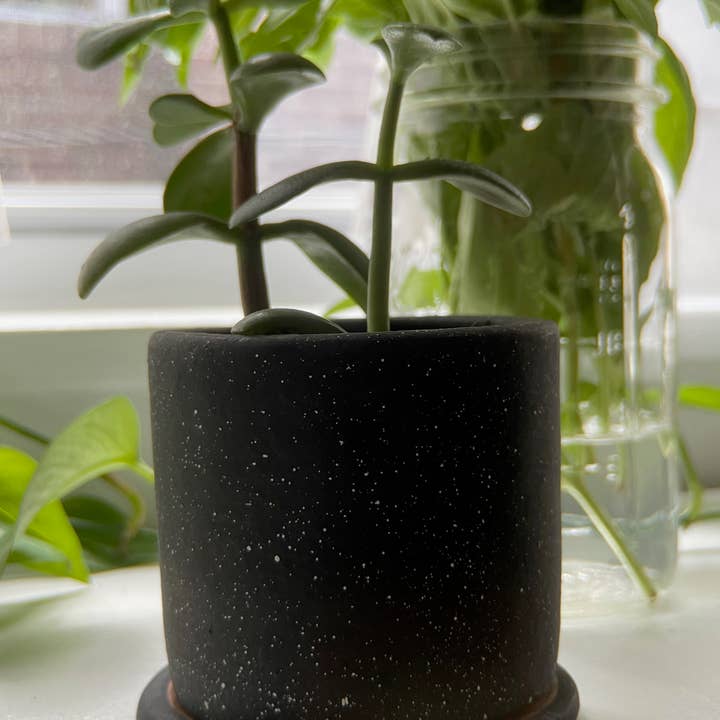 Women of the Cloud Forest - Wholesale Plant Pot - Small Ceramic Planter4