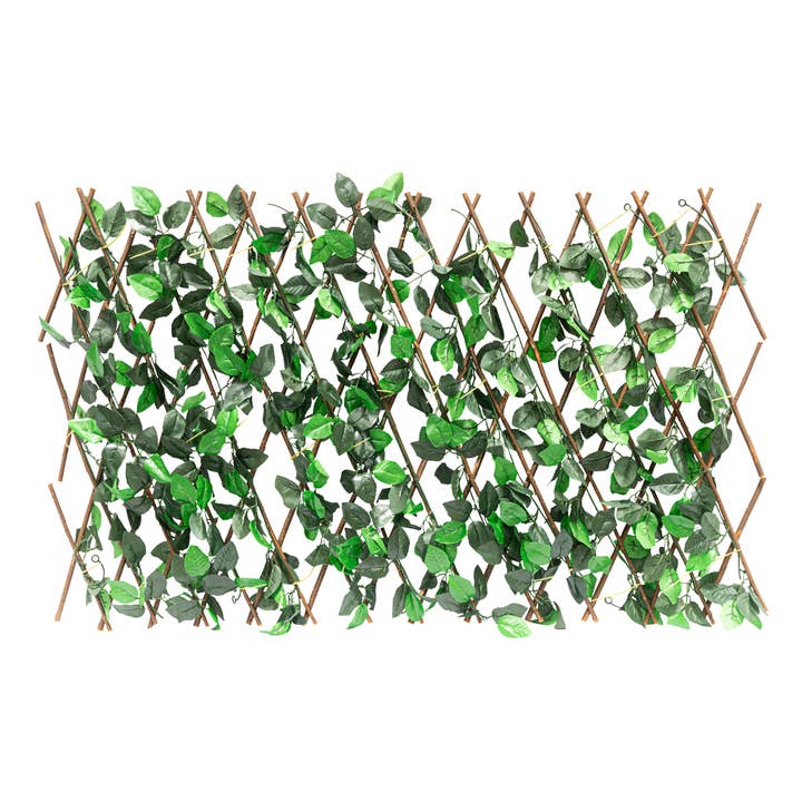 Clôture extensible en treillis en lierre - 6 pieds 10 pouces pour la vente par Portofino International Trading, USA
