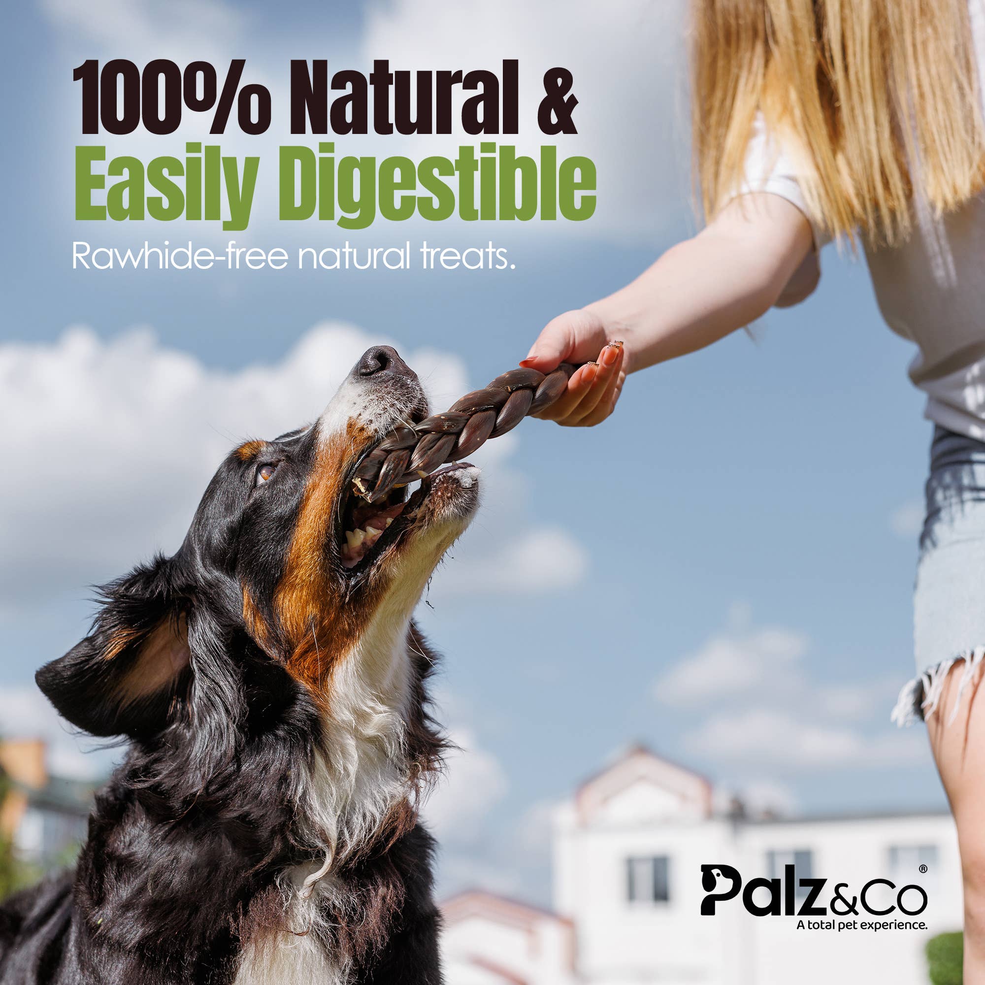 Palz&Co - Wholesale Pet Treats - Dog - Moodog Beef Braided Gullet 8" - Pack of 28