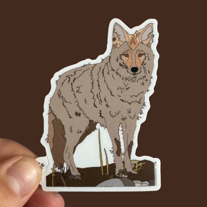 Artwork by Sophia - Venta al por mayor Pegatina - Coyote | Pegatina de vinilo | Dibujo a color | 3 pulgadas