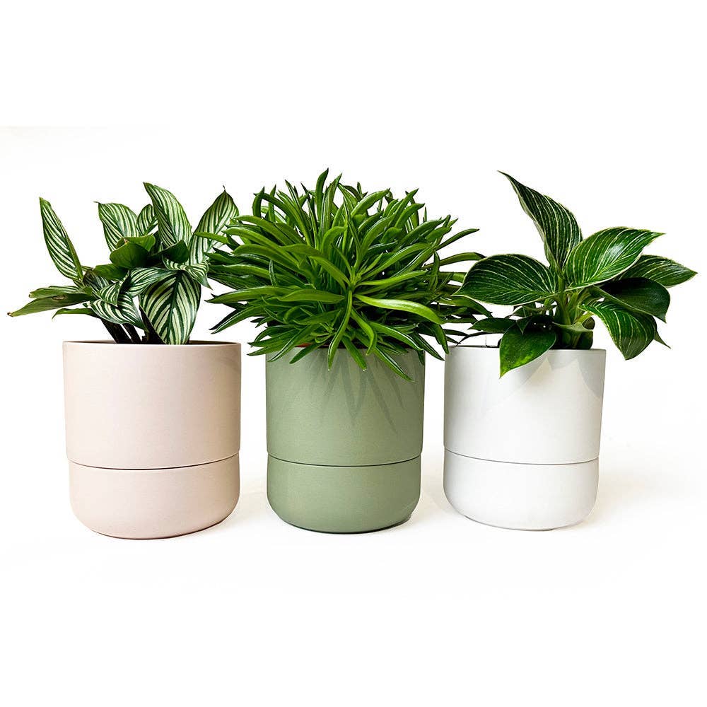 Chive Canada - Wholesale Plant Pot - Ryan Self-Watering Plant Pots Indoor Planters2