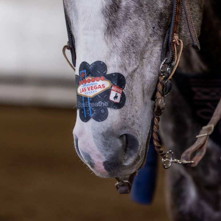 EquiBreathe™ – Equipamento de equitação por atacado – EquiBreathe™ Adesivo Nasal Equino - Vegas17