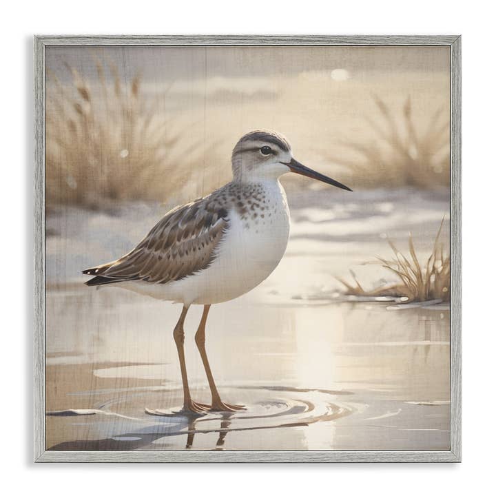 Stupell Industries – wholesale Wall sign – Sunlit Sandpiper in Shallow Water - Framed Wall Art20