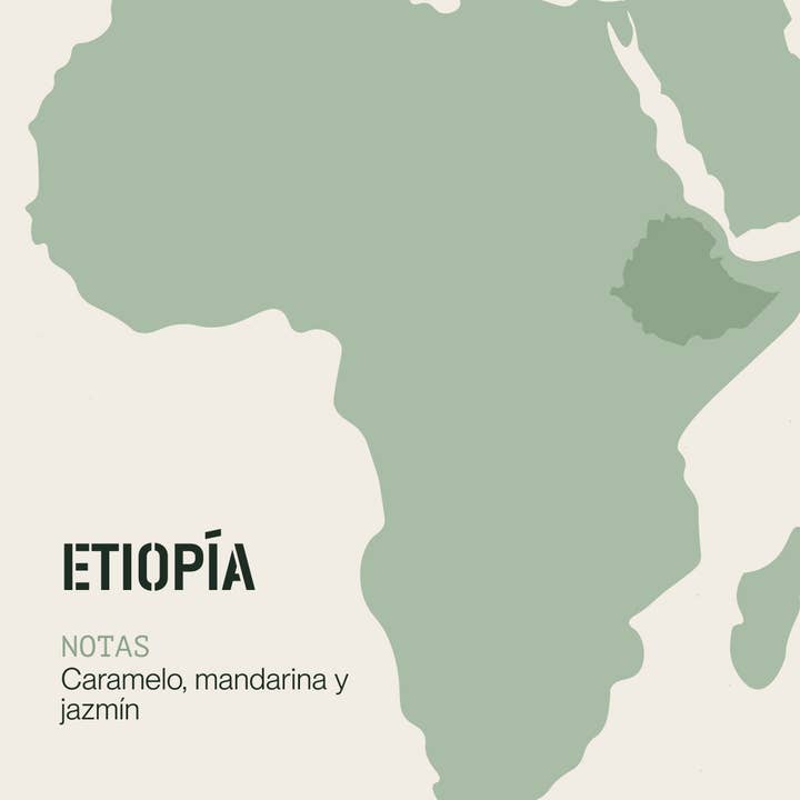 INCAPTO COFFEE - Wholesale Coffee Beans - Specialty Bean Coffee from ETHIOPIA 100% Arabica2