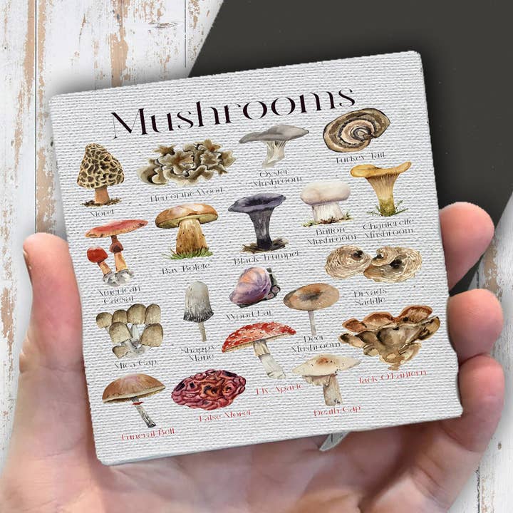 Vintage Mushrooms Variety Magnet Fridge for wholesale by Avery Lane Gifts