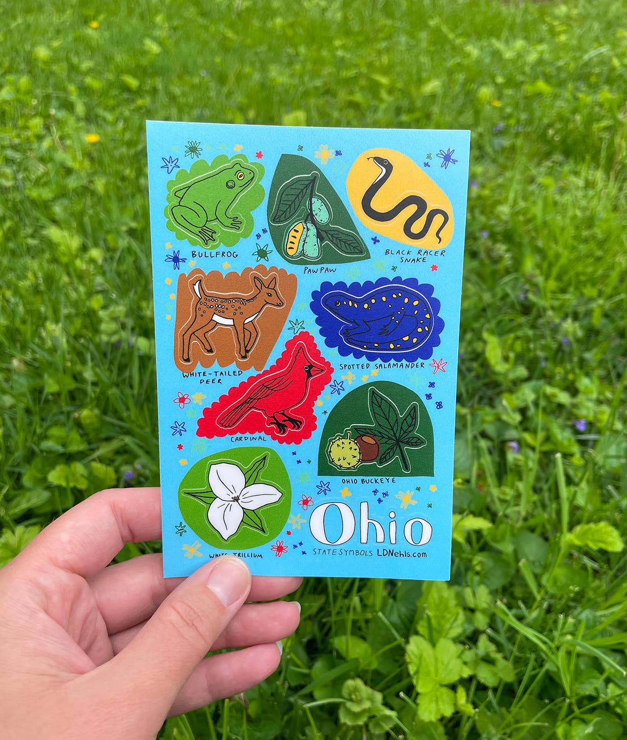 LD Nehls - Wholesale Sticker - Symbol of Ohio Sticker Sheet2