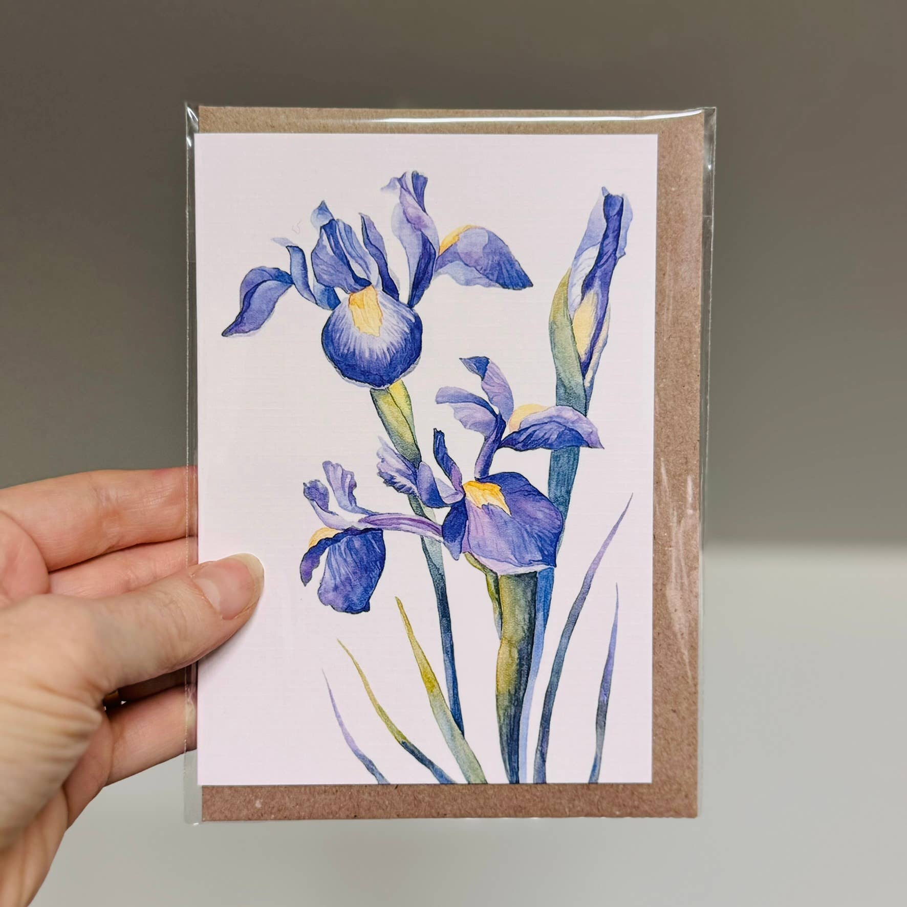 Scattered Seed Co - Wholesale Stationery/Notecard Set - IRIS greeting cards set of 4 Mini or Regular size13