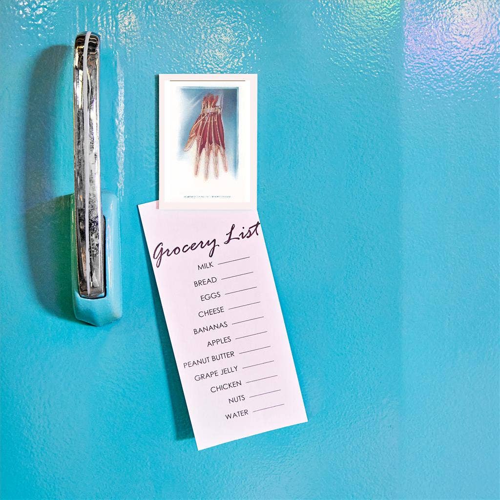 Found Image Press – wholesale Magnet – Magnet AY-05 Ligament och muskler på handens rygg1