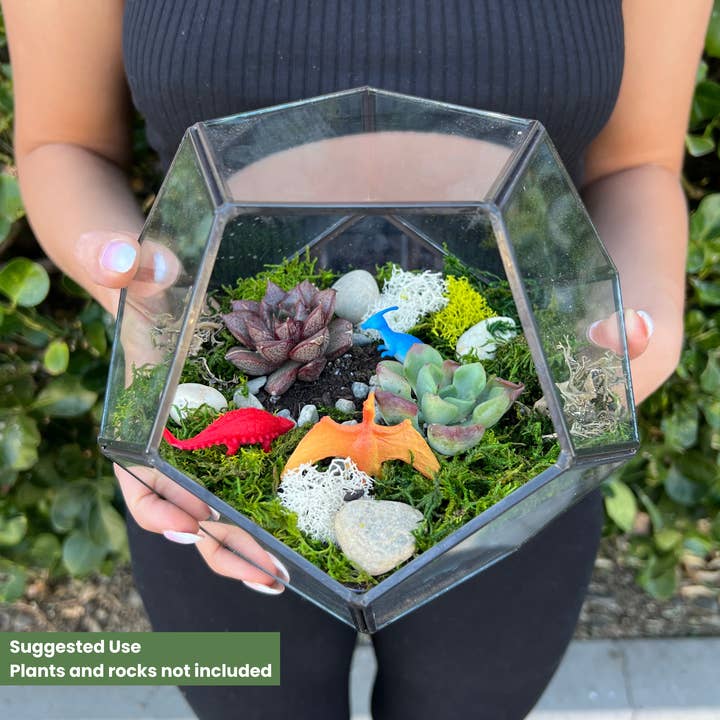 Cute Farms - Wholesale DIY Craft Kit - Geometric Glass Terrarium Kit 4