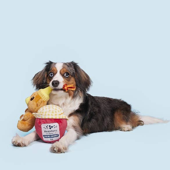 Pet Palette Distribution - Wholesale Pet Plush Toy - Dog - BARK That's My Jam, Honey Plush Dog Toy