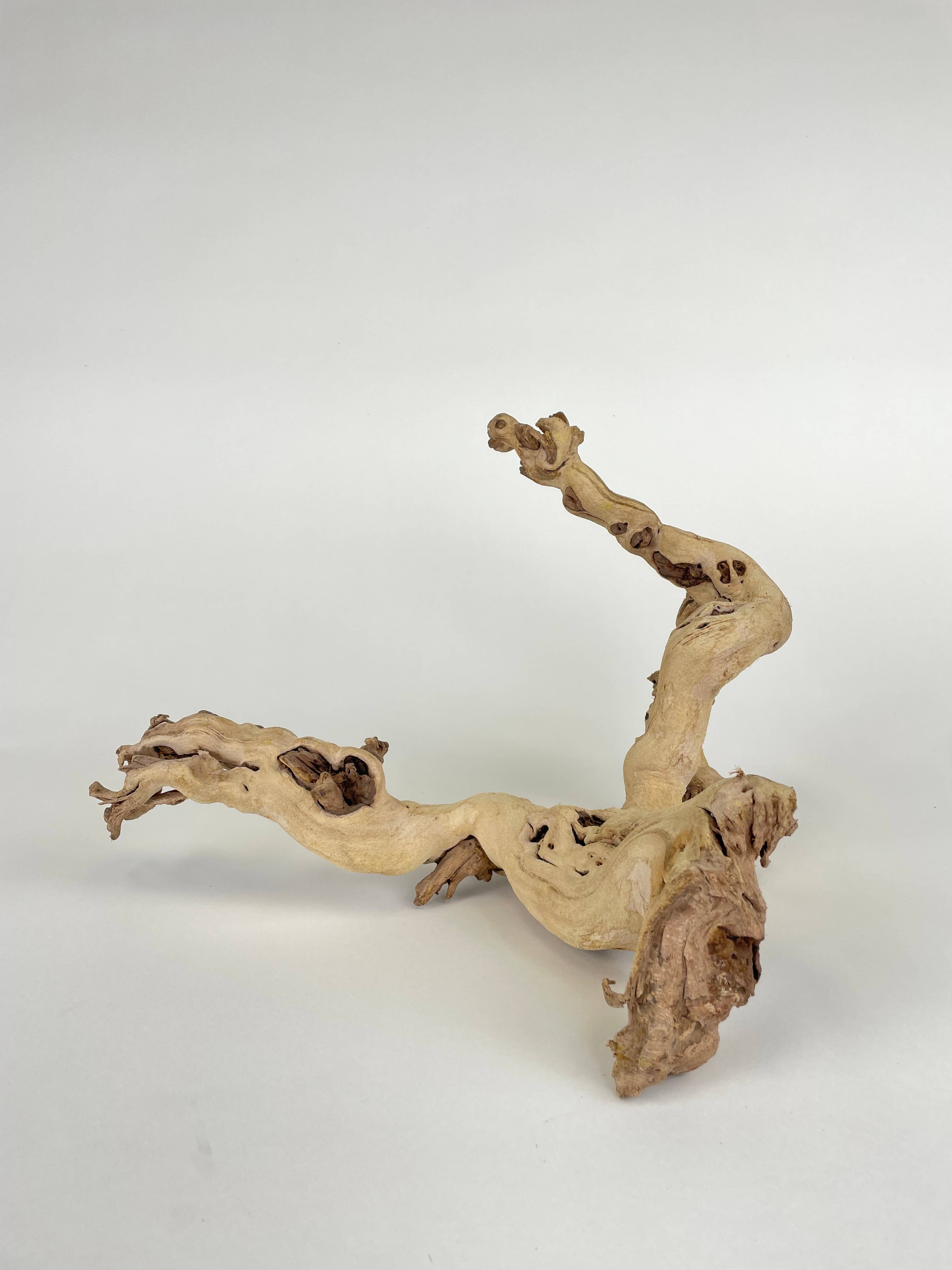 Andaluca - Wholesale Decorative Tabletop Object - 10" Sandblasted Grapewood3