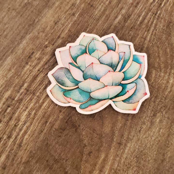 Succulent Stickers for wholesale by Kunstruct by Sammi Jo