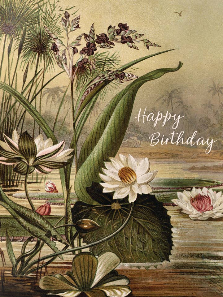 Happy Birthday ( lotus) • A-2 Greeting Card for wholesale by P. Flynn Design / Phun House