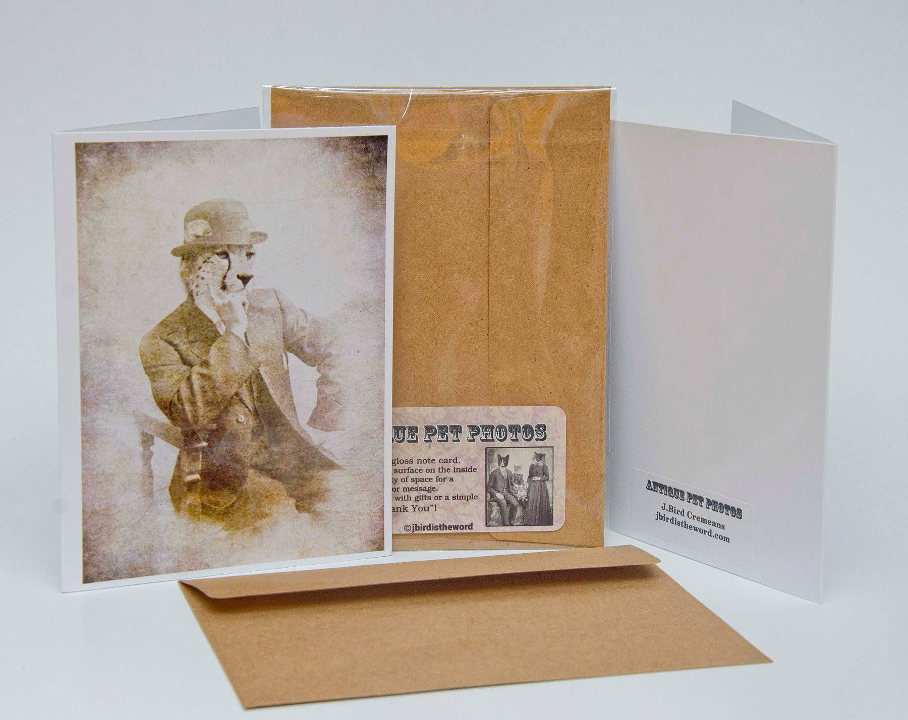 The Wild Oddisorium - Wholesale Everyday Greeting Card - Owl Note Card Grandfather Papa Bird Lover Nature Animals2