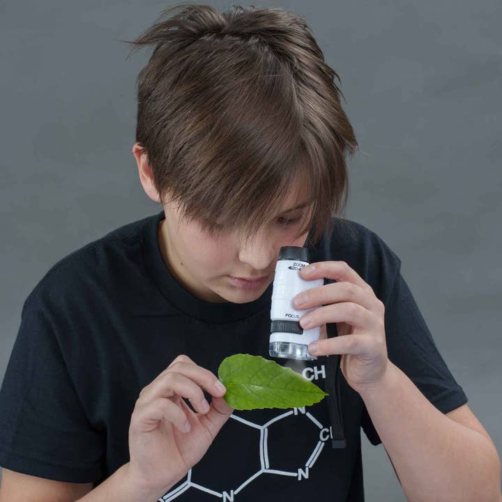 Heebie Jeebies - Wholesale Brain Game - Kids - PocketScope Scientific Tool