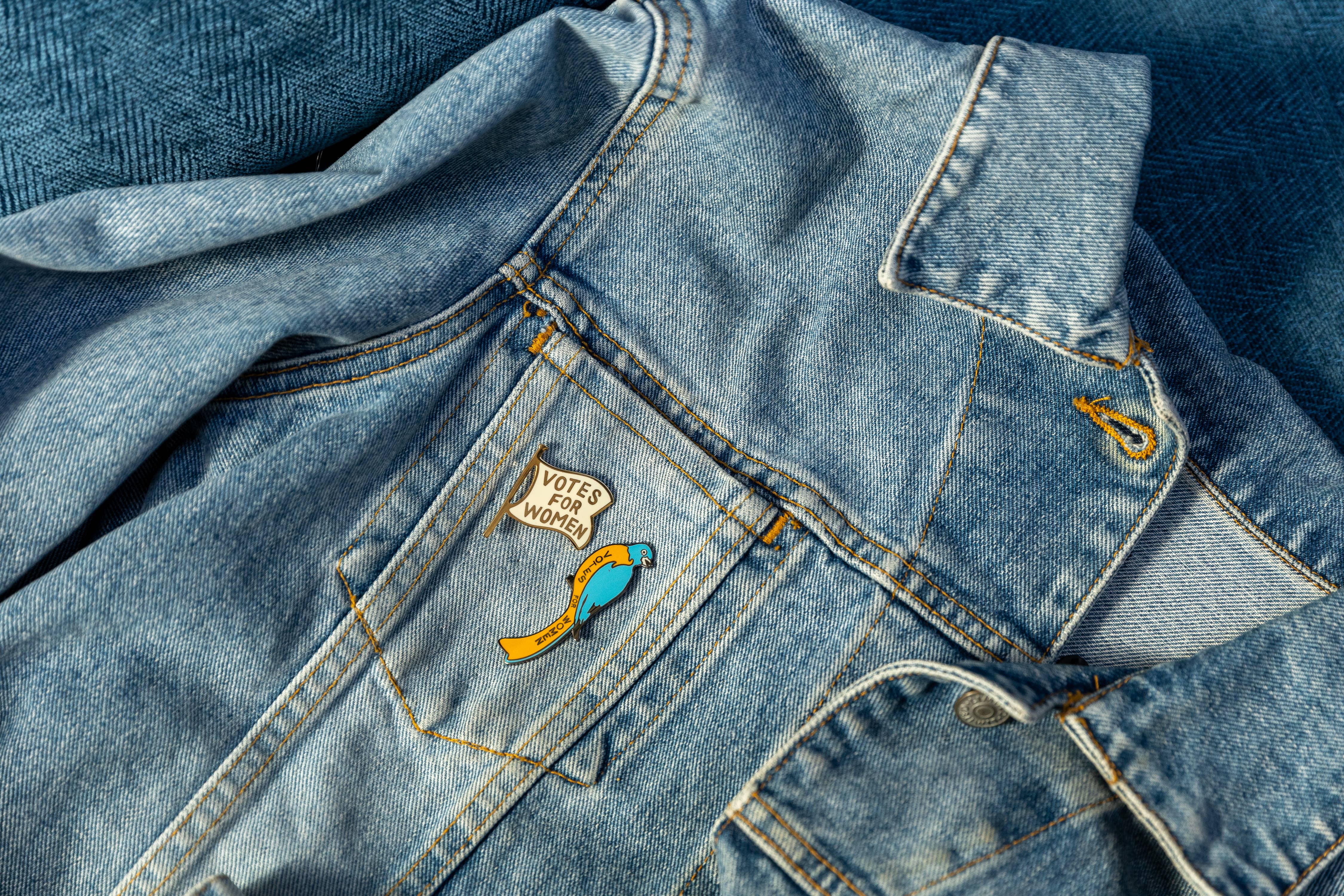 Unemployed Philosophers Guild - Wholesale Lapel Pin/Button - 19th Amendment Pins1