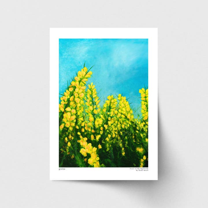 Gorse, Scotland, Fine Art Print for wholesale by Lizzie Moult