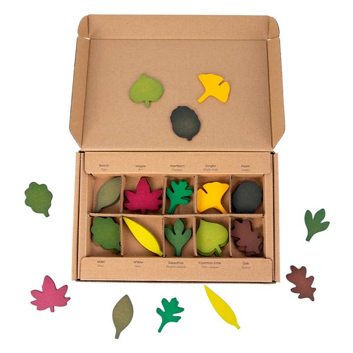 Q&C Distribution - Wholesale Wood Toy - Kids - Wooden Leaf Toy Montessori Toys (3+)4