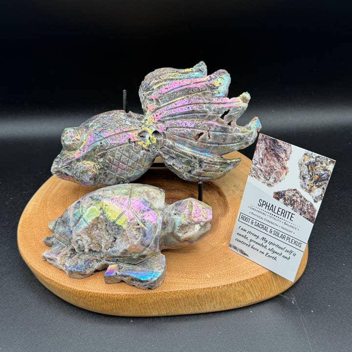 2 pz Lg Angel Aura Sfalerite piuma pesce rosso tartaruga H33 per la vendita all'ingrosso da parte di The 7 Directions