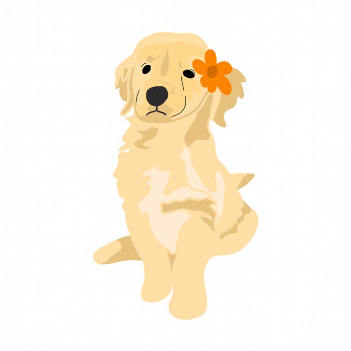 Adesivo tropicale per la vendita all'ingrosso da parte di RCR Creative