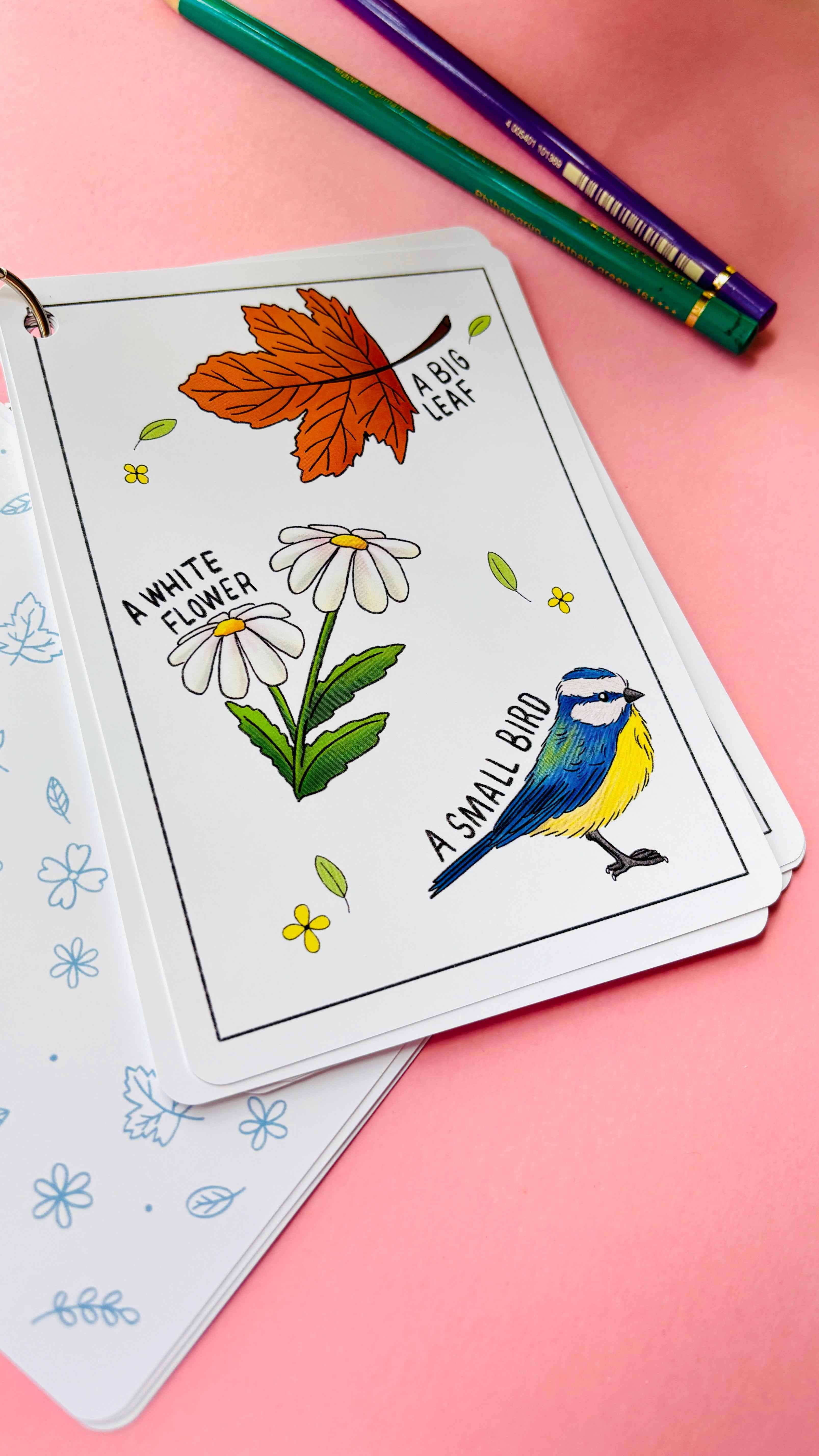 Pixiecraft - Wholesale Learning Cards - Kids & Baby - Nature Explorer Scavenger Hunt Cards- Illustrated Educational Activity Cards for Kids6