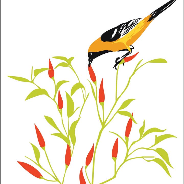 RBI-02 Impression d'art écologique Oriole et piments forts : oiseaux de jardin pour la vente par Rigel Paper