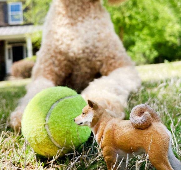 Safari Ltd. - Wholesale Figurine Toy - Kids - Shiba Inu - 1005964