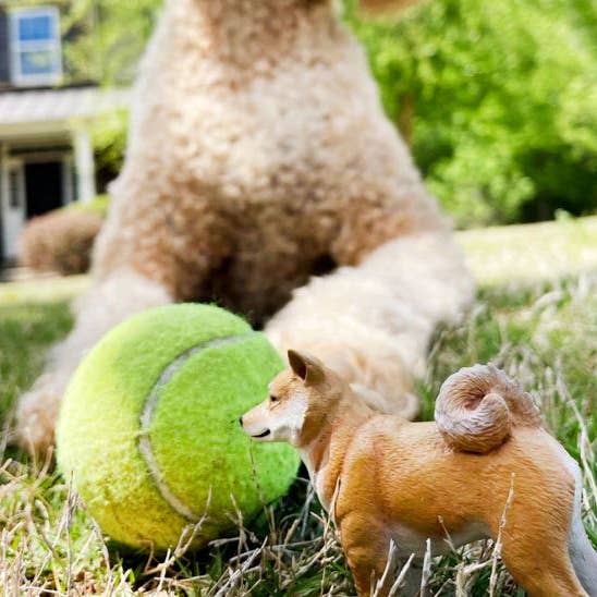 Safari Ltd. - Wholesale Figurine Toy - Kids - Shiba Inu - 1005964