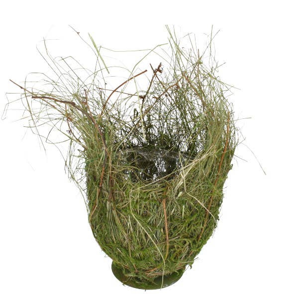 Natur Pokal Lelle, D25cm, H40cm, Für To21, Grün für den Großhandel von Vosteen