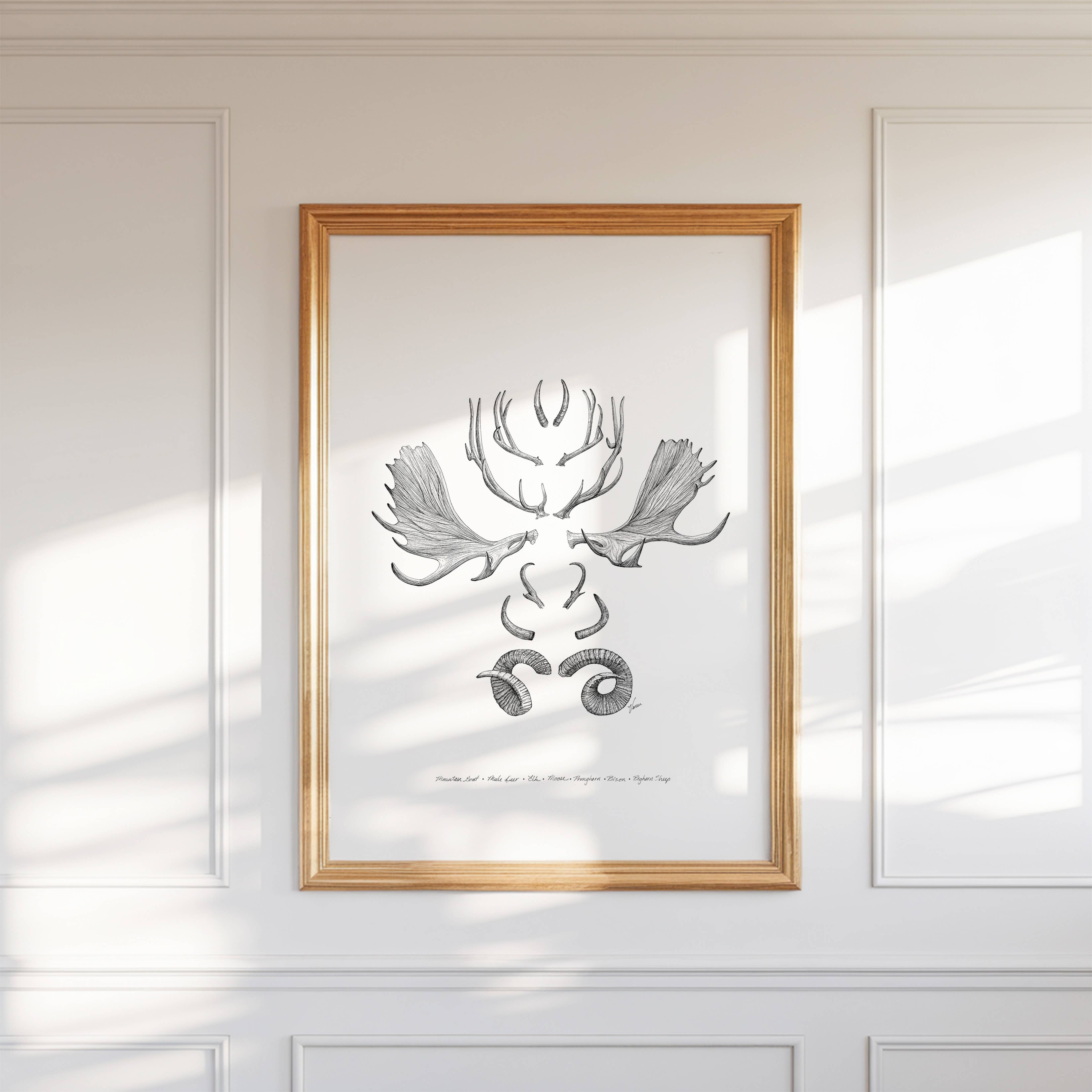 Vanee.ink - Wholesale Art Print - Horns & Antlers Print