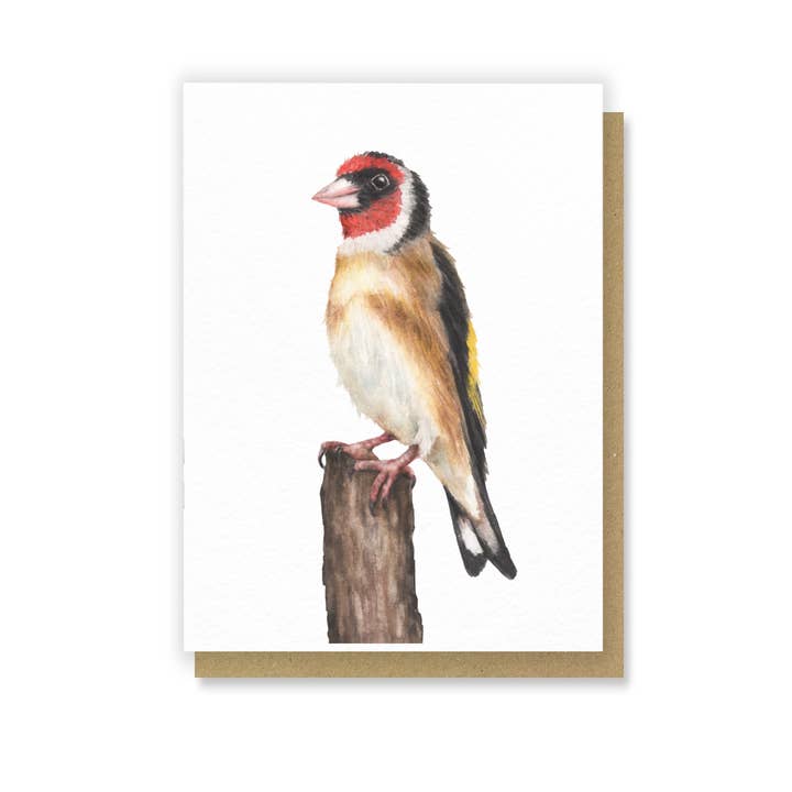 Pintassilgo - Mini Cartão de Cumprimentos com Pássaro em Aquarela por atacado de Citrus Bunn