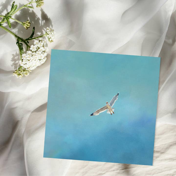 Portrait of Clouds - Wholesale Everyday Greeting Card - Seagull Greetings Card "Soar" - Luxury Textured Cardstock1