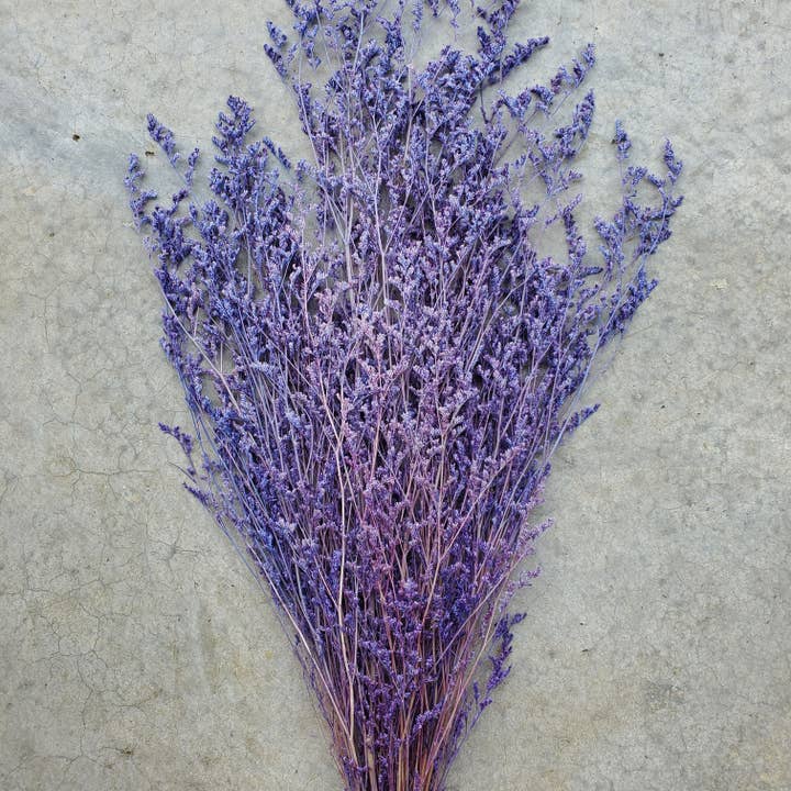 Fleurs de Limonium Caspia Préservées - Violet (027) pour la vente par BLOOMINGFUL.COM