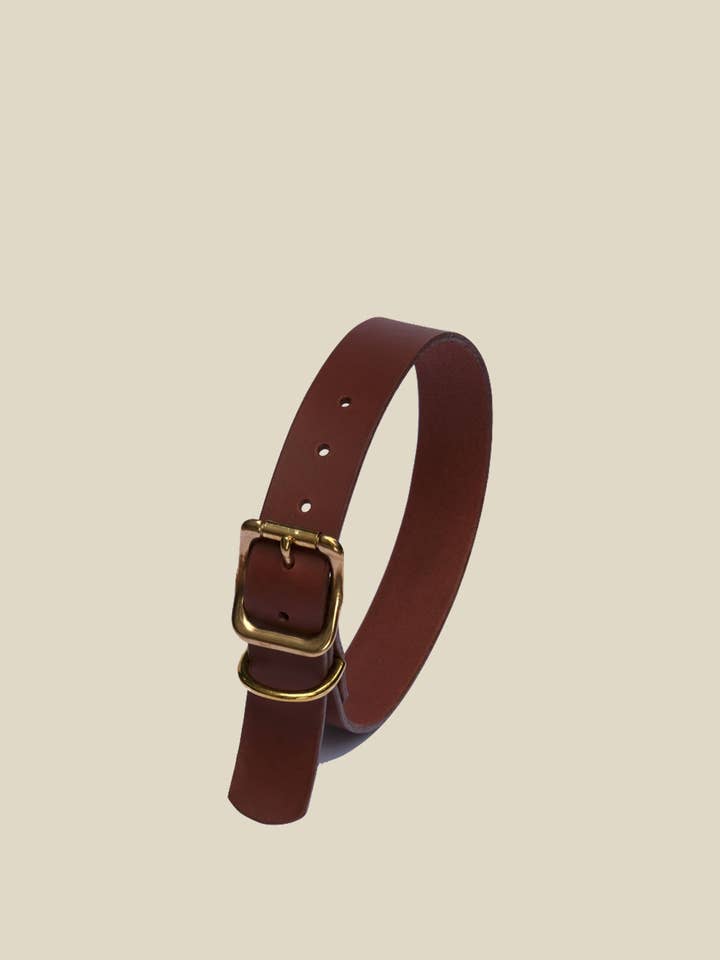 Kæledyr Collection - Mapocho Collar for engroshandel hos LAMA Leather Goods