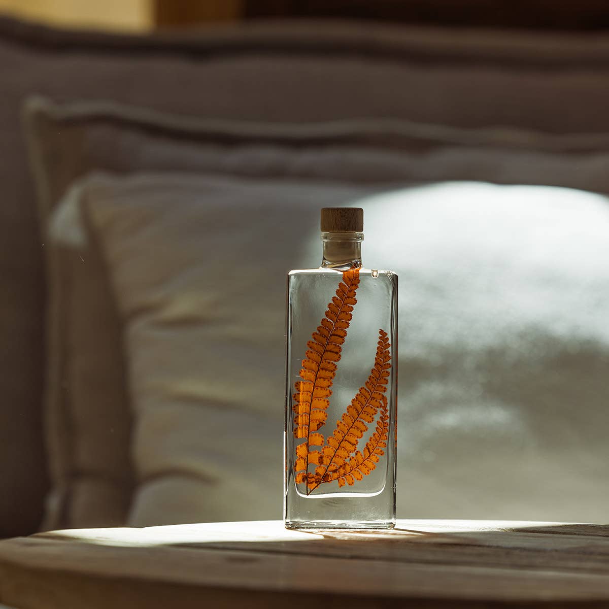 Theophile Berthon - Wholesale Live Plant - The Felci Red Fern Herbarium - submerged plant3