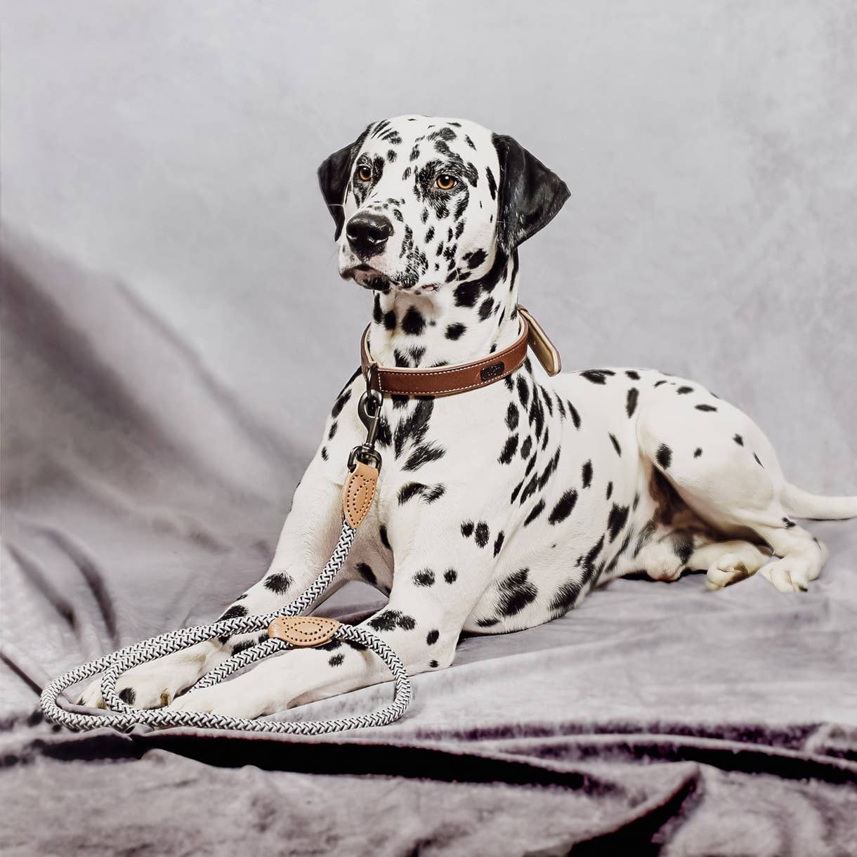 ne&no - Wholesale Pet Leash - Dog - ne&no® Design City Leash from Rope – 120 cm - fixed Dog Leash7