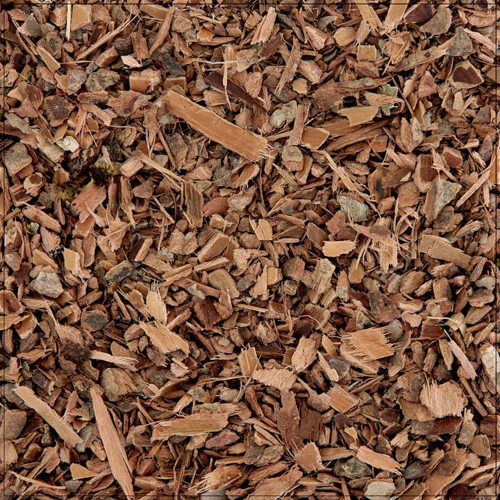 Alive Herbals - Wholesale Herbs - Witch Hazel Bark0