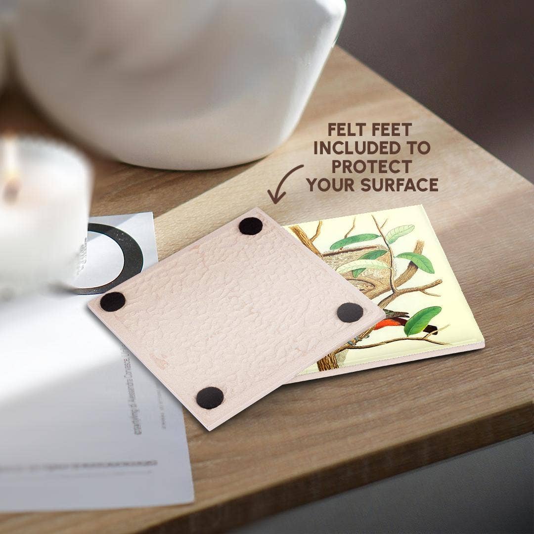 3dRose - Wholesale Coasters - 3dRose, Vintage Bird Print Painted Bunting Colorful Birds Art Illustration, Coaster3