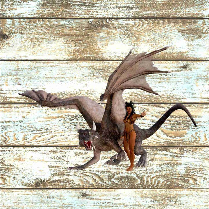 Set of 4 Coasters Fantasy Dragon And Beauty 2 for wholesale by BMS BIZ